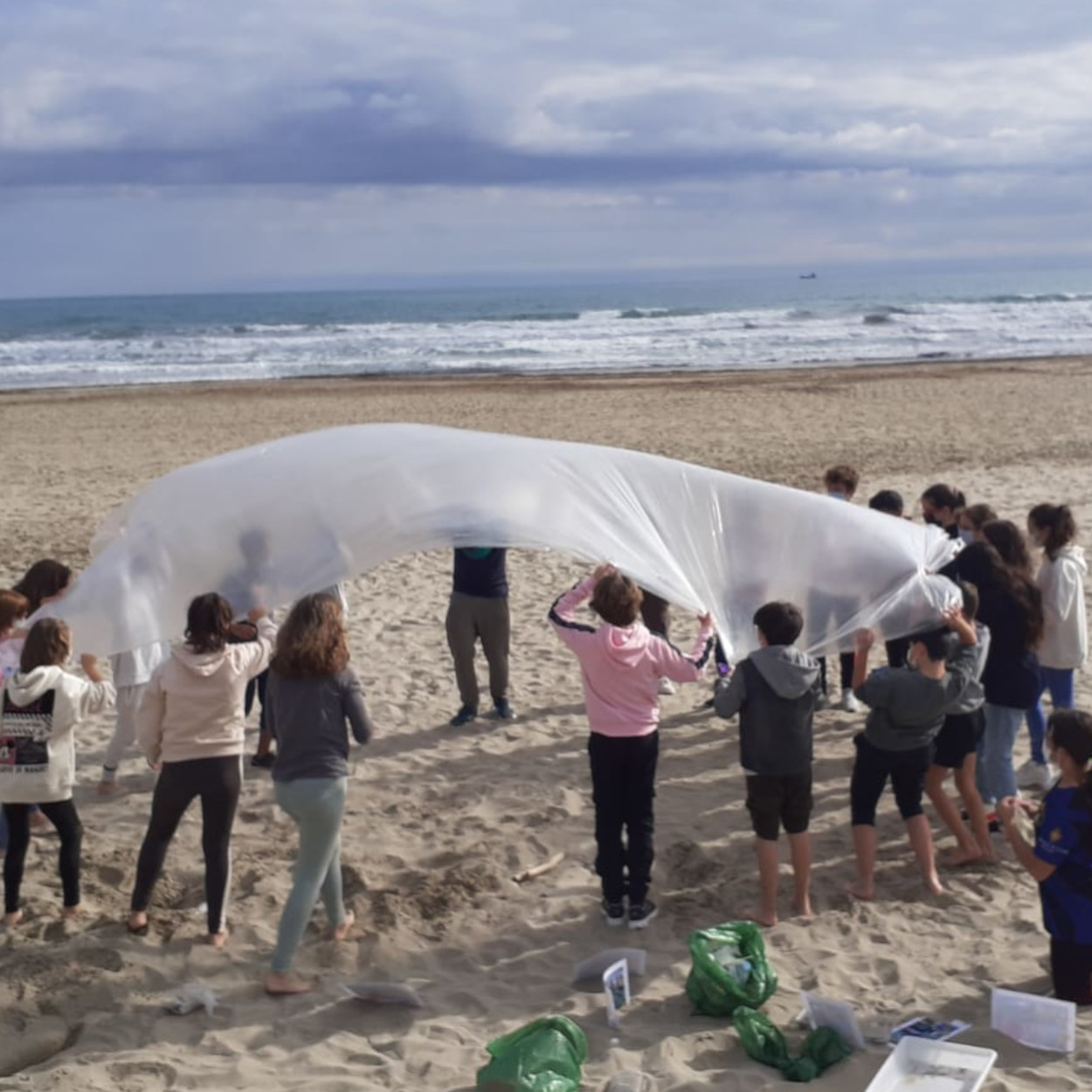 econsciencia educacion ambiental playa