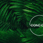 CONECTA – Innovación Ambiental y Social