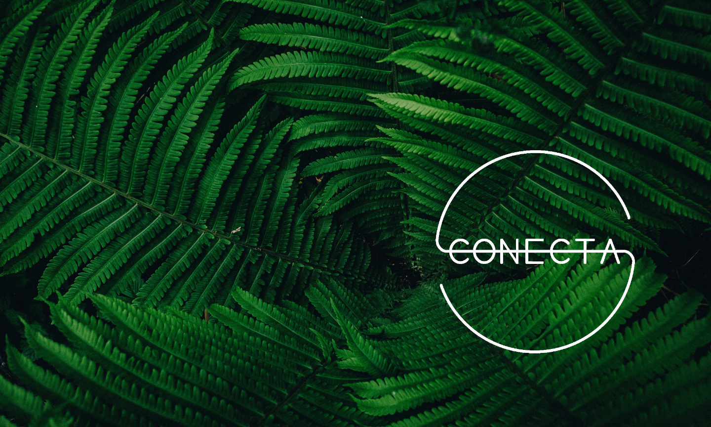 CONECTA – Innovación Ambiental y Social